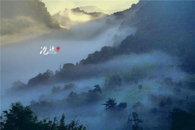 优质问答平台植物凤眼蓝是长什么样子的?,快速解答您的疑惑