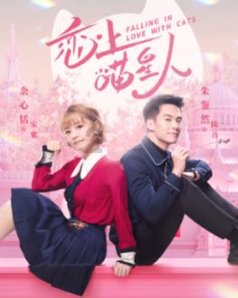 谢楠发文回应被劝离婚，否认吴京厌女