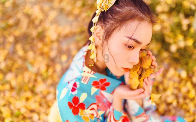 渣渣辉传奇