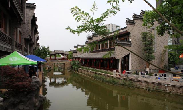 城区梅花盛放 市民公园邂逅“梅”好
