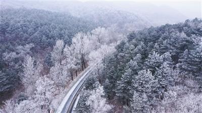 梅西将率阿根廷队3月来中国杭州比赛